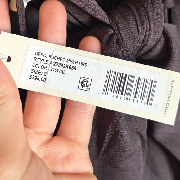 Rebecca taylor Rushed mesh maxi dress - Picture 8 of 9